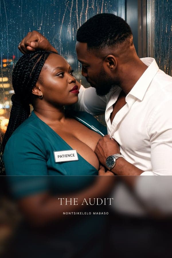 Cover art for THE AUDIT